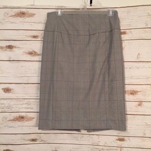Express Skirt